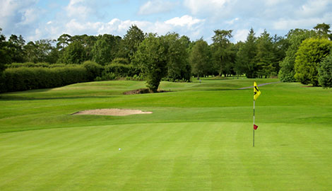 golf flag on green looking out to the fairway with tree line in the far background